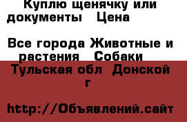 Куплю щенячку или документы › Цена ­ 3 000 - Все города Животные и растения » Собаки   . Тульская обл.,Донской г.